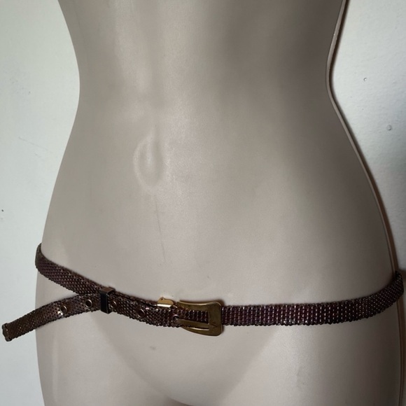 Thin Mesh Metal Iridescent Bronze Belt Chain-Link 70s Halston Style - Picture 4 of 5